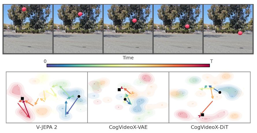 Predictive Structure Improves Video Diffusion Dynamics teaser figure