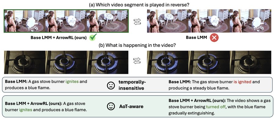 Seeing the Arrow of Time benchmark examples